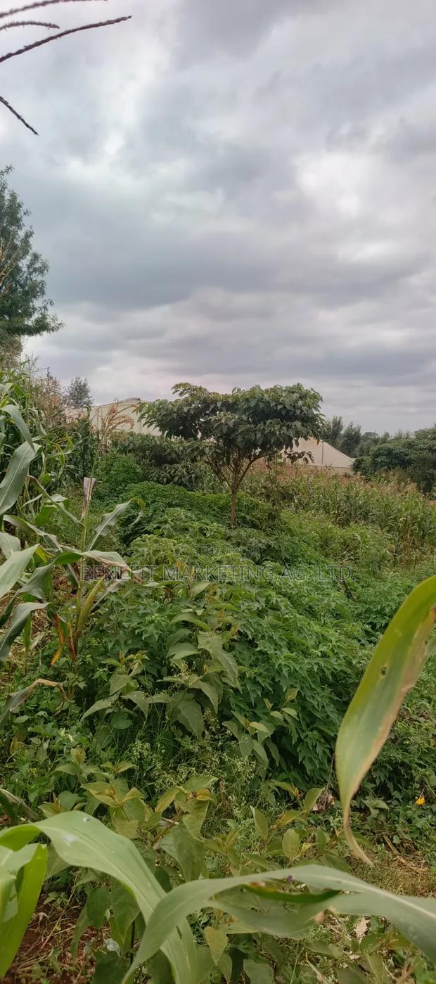50*100 Plots for Sale in Kiserian St. Patrick's Road
