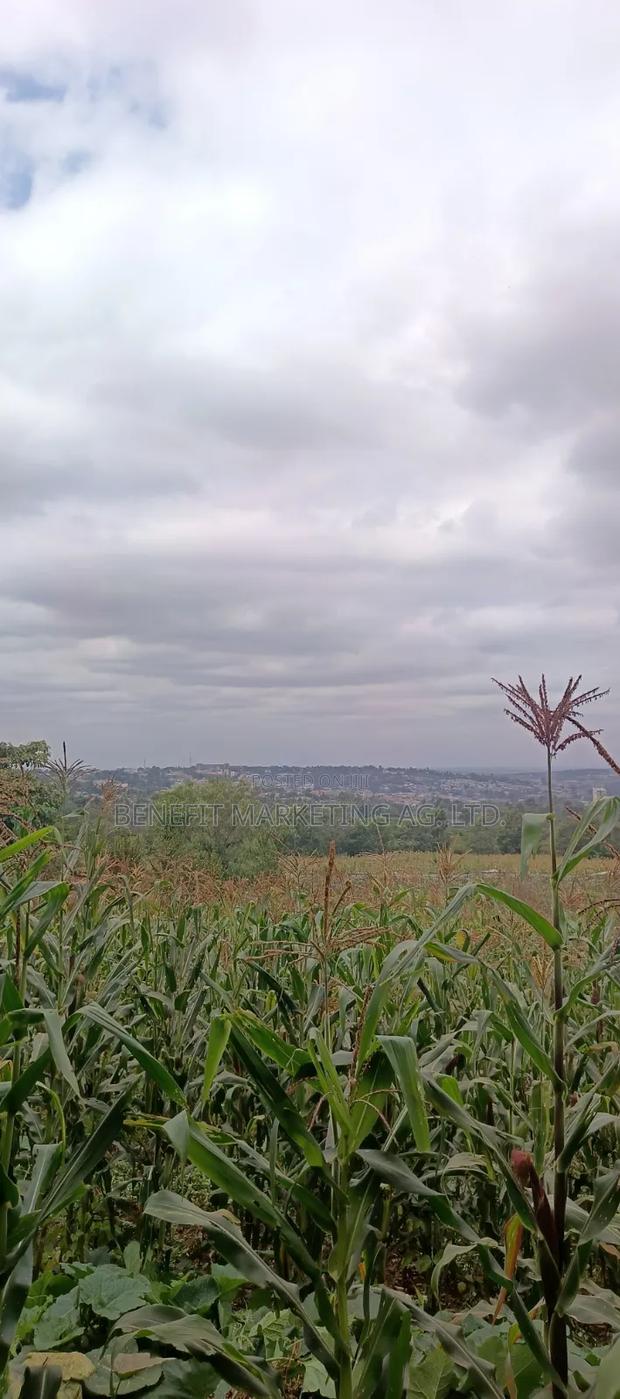 50*100 Plots for Sale in Kiserian St. Patrick's Road - thumbnail 4
