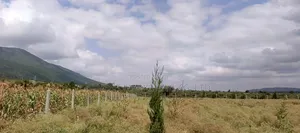 Plots for Sale in Ngong Kimuka.
