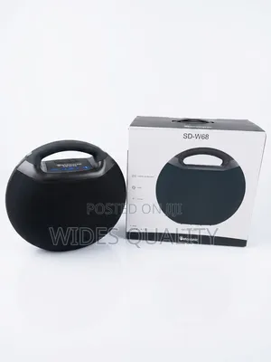 100 Watts Portable Speaker