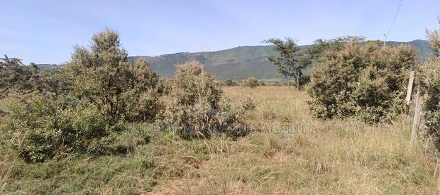 Half Acre Plot for Sale in Ngong Kimuka - thumbnail 2