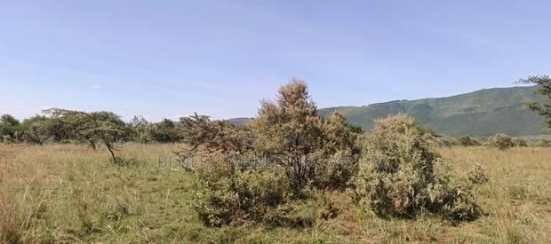 Half Acre Plot for Sale in Ngong Kimuka - thumbnail 5