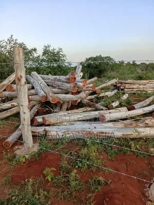 2 Acres for Sale at Baolala,Clean Title Deed