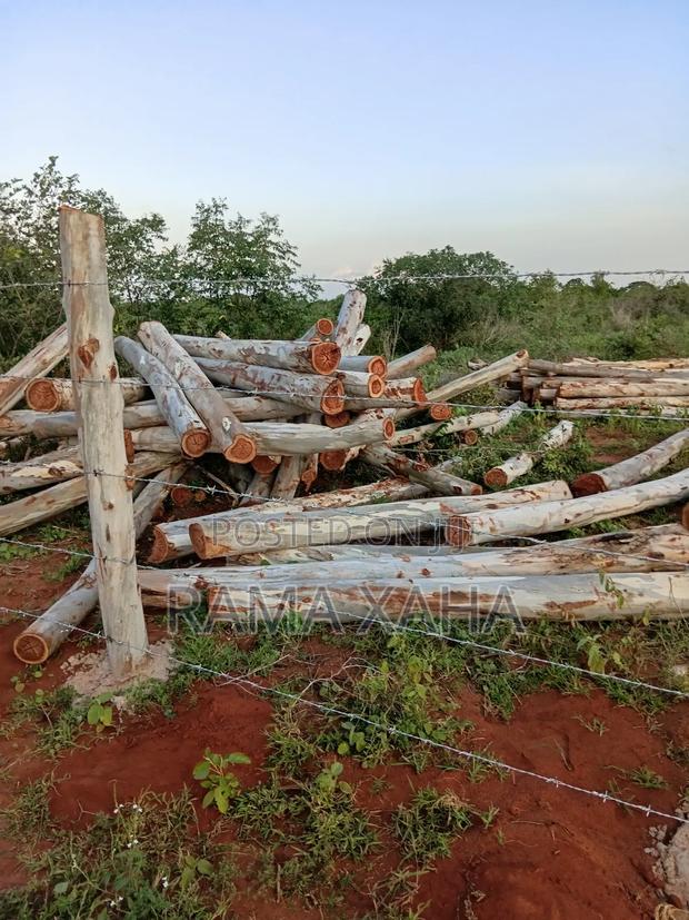 2 Acres for Sale at Baolala,Clean Title Deed - thumbnail 3