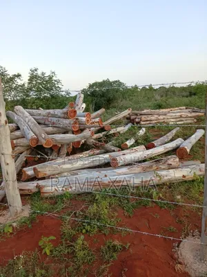 2 Acres for Sale at Baolala,Clean Title Deed