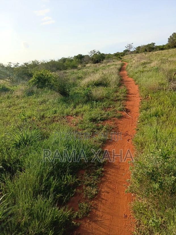2 Acres for Sale at Baolala,Clean Title Deed - thumbnail 6