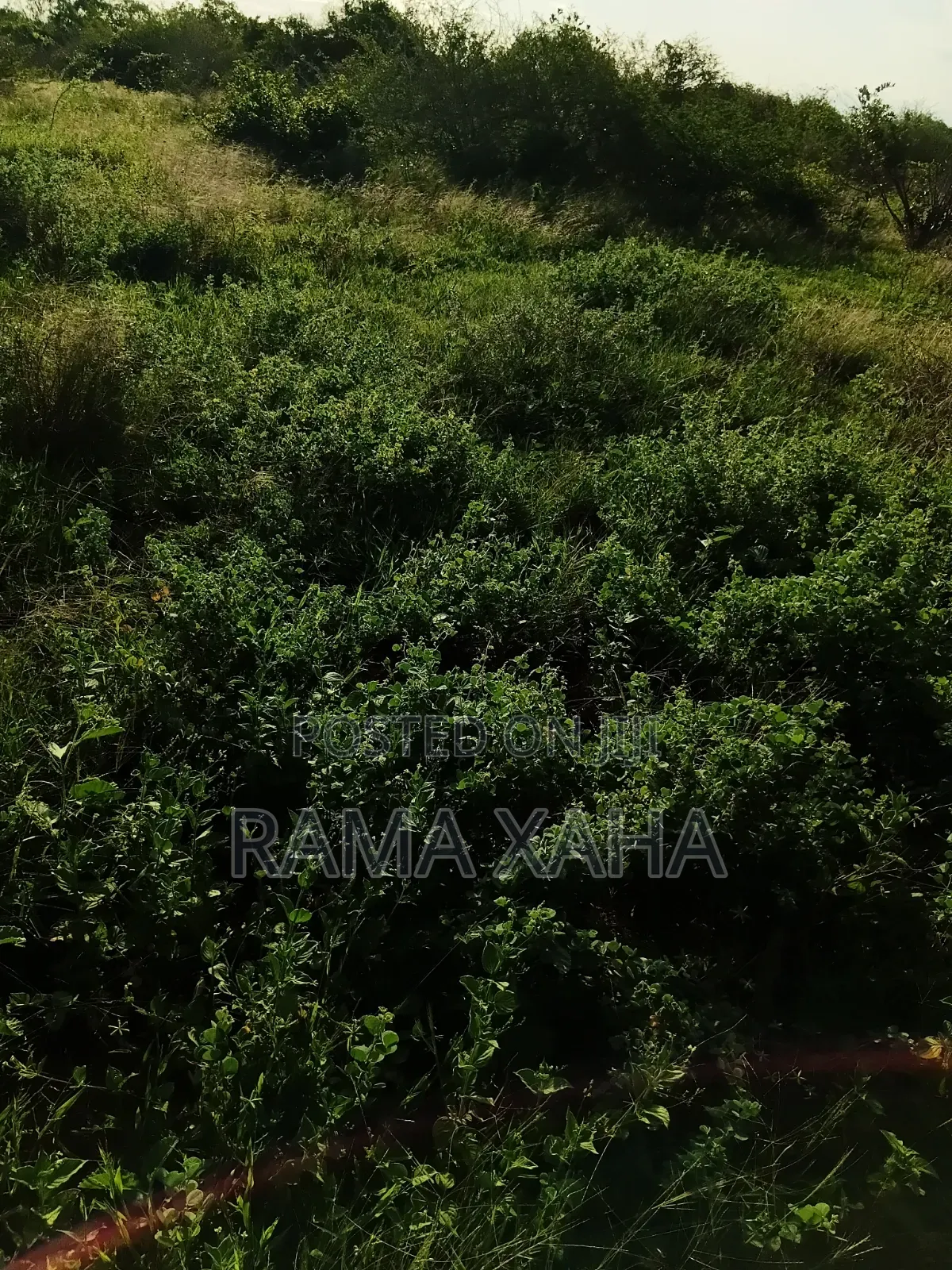 2 Acres for Sale at Baolala,Clean Title Deed
