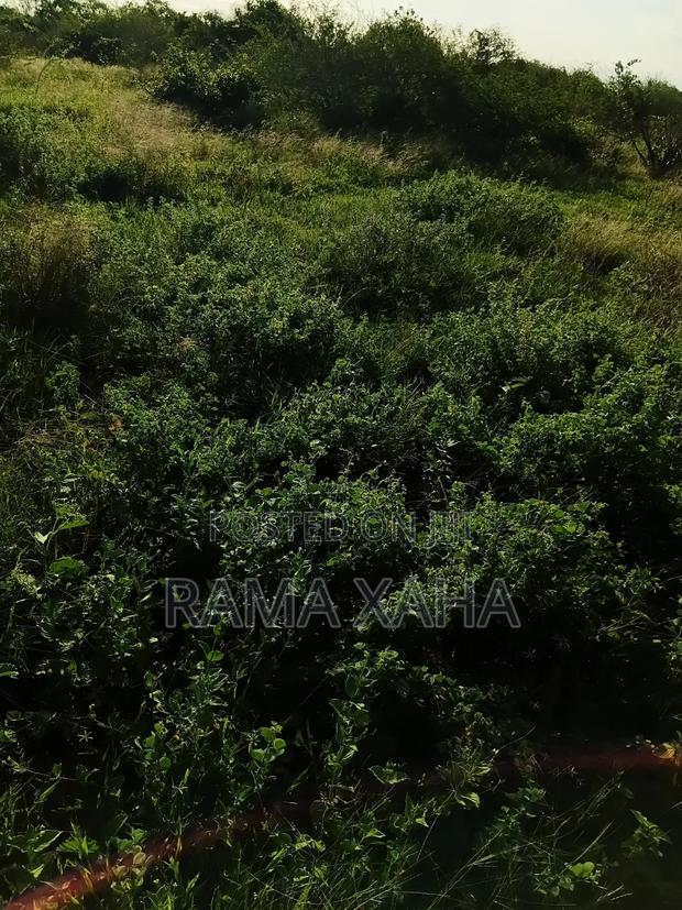 2 Acres for Sale at Baolala,Clean Title Deed - thumbnail 7