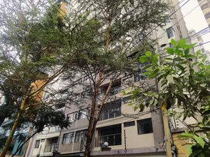 1bdrm Apartment in Heartlands Homes, Hurlingham for rent