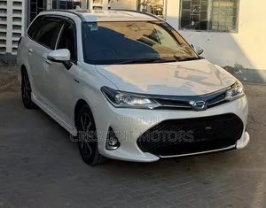 Toyota Corolla Fielder 2019 White
