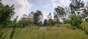 Commercial Quarter Acre Ideal for Apartments for Sale in Ngong