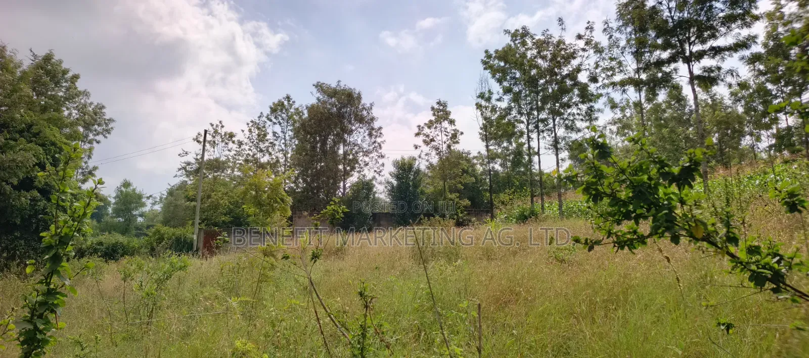 Commercial Quarter Acre Ideal for Apartments for Sale in Ngong