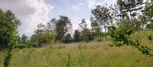 Commercial Quarter Acre Ideal for Apartments for Sale in Ngong