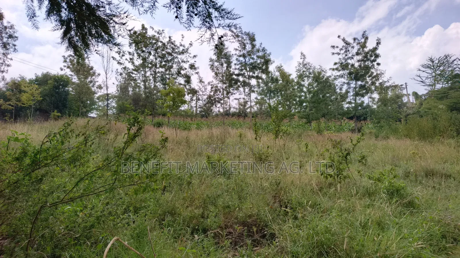 Commercial Quarter Acre Ideal for Apartments for Sale in Ngong