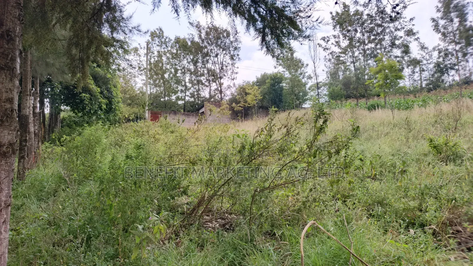 Commercial Quarter Acre Ideal for Apartments for Sale in Ngong