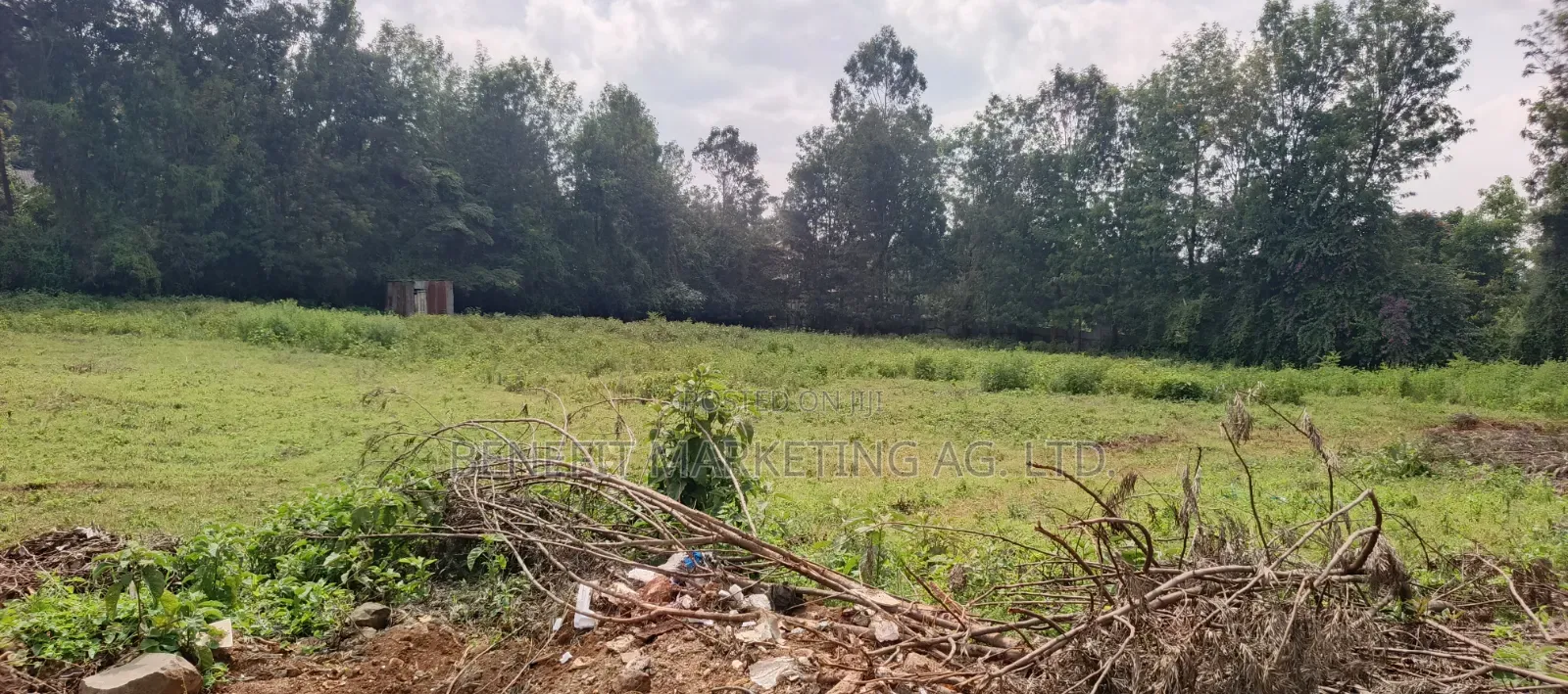50*100 Plots Sale in Ngong Ololua 46'