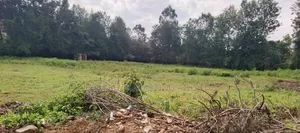 50*100 Plots Sale in Ngong Ololua 46'