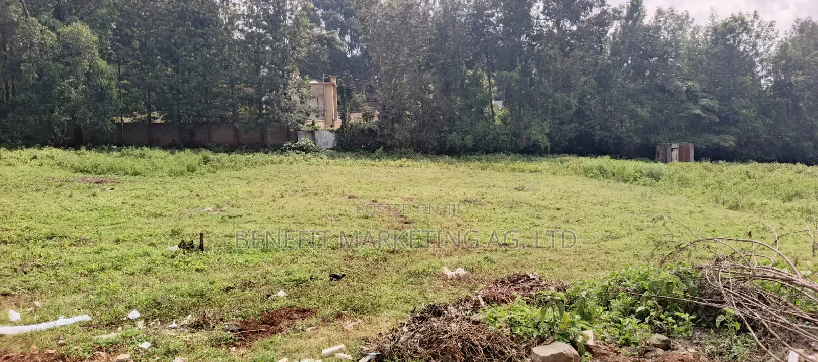 50*100 Plots Sale in Ngong Ololua 46'