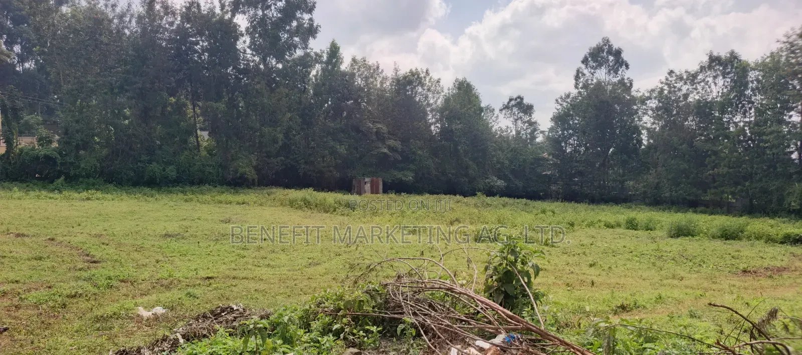 50*100 Plots Sale in Ngong Ololua 46'