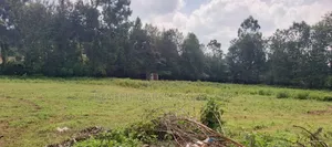 50*100 Plots Sale in Ngong Ololua 46'