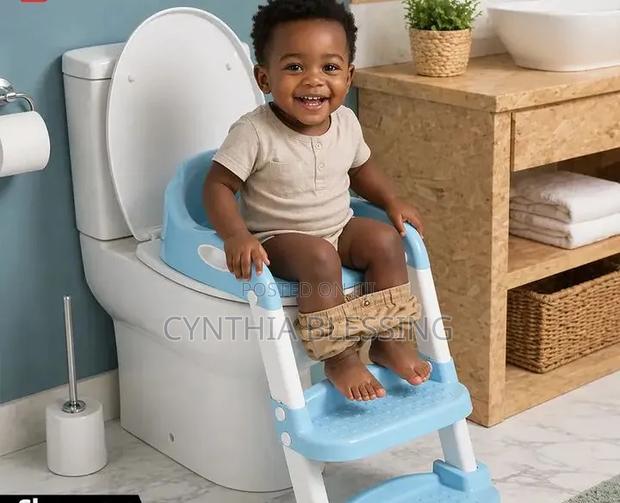 Kids Toilet Training Seat With Ladder