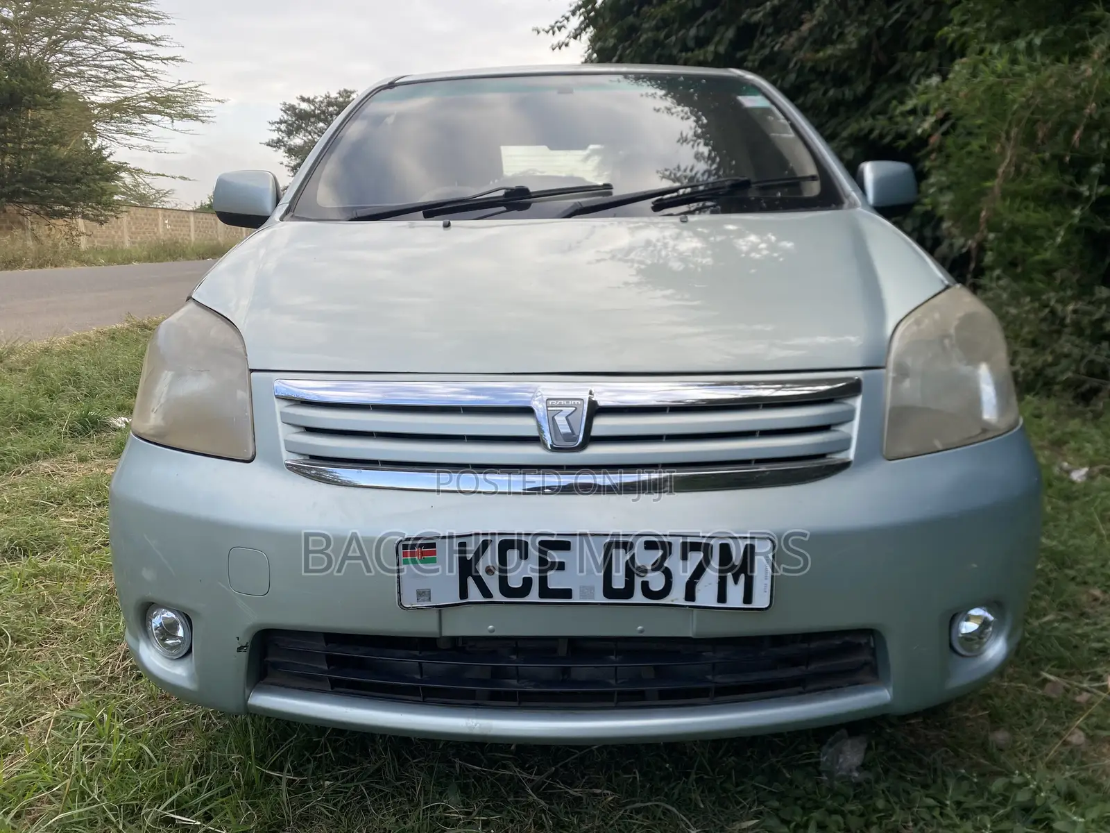 Toyota Raum 2008 Green