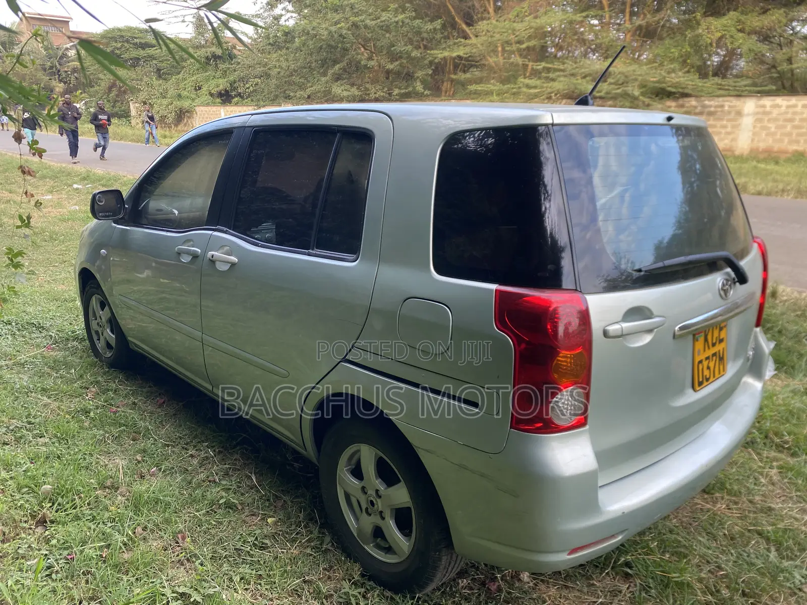 Toyota Raum 2008 Green