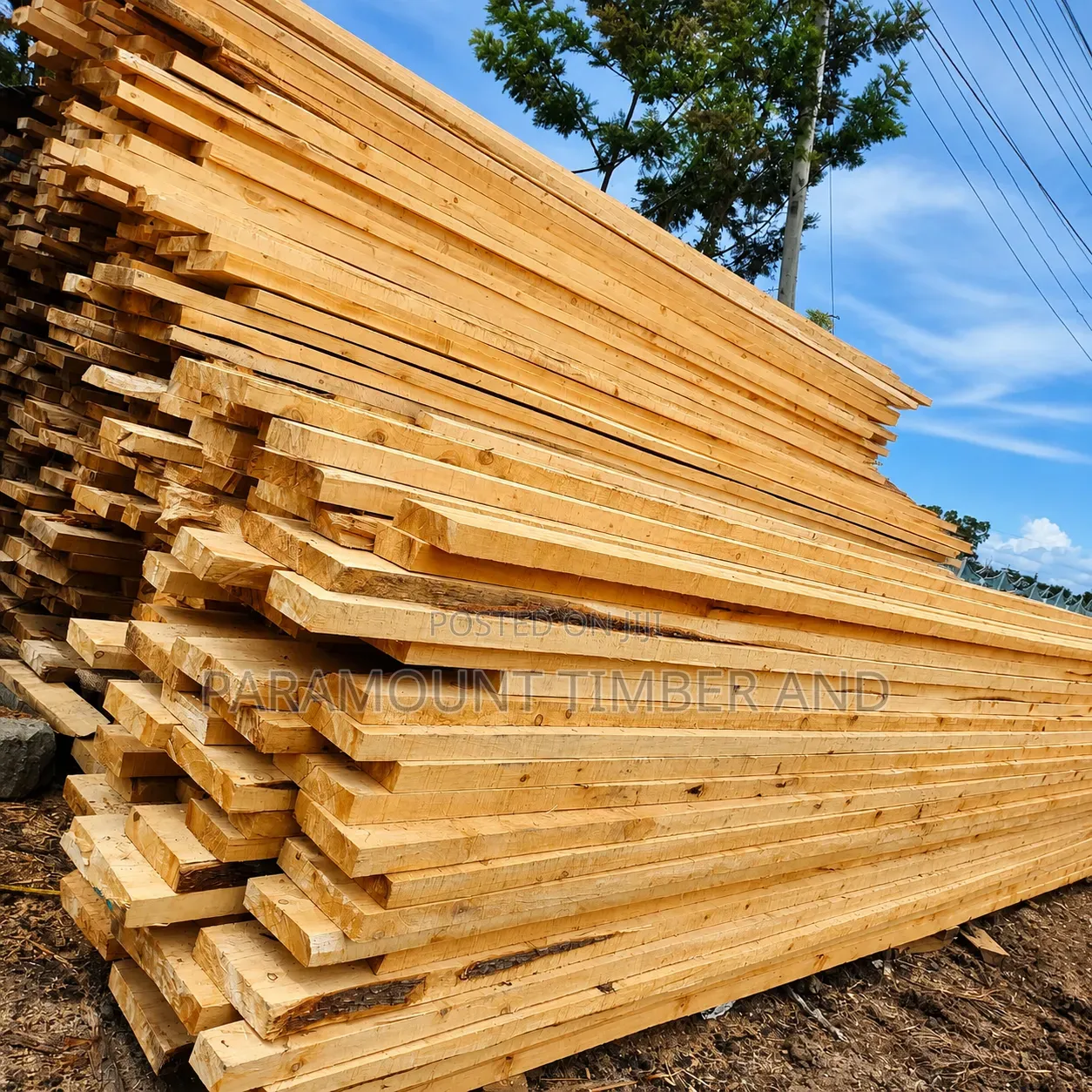 Roofing Construction Timber