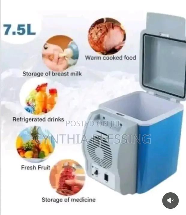 Portable Mini Fridge