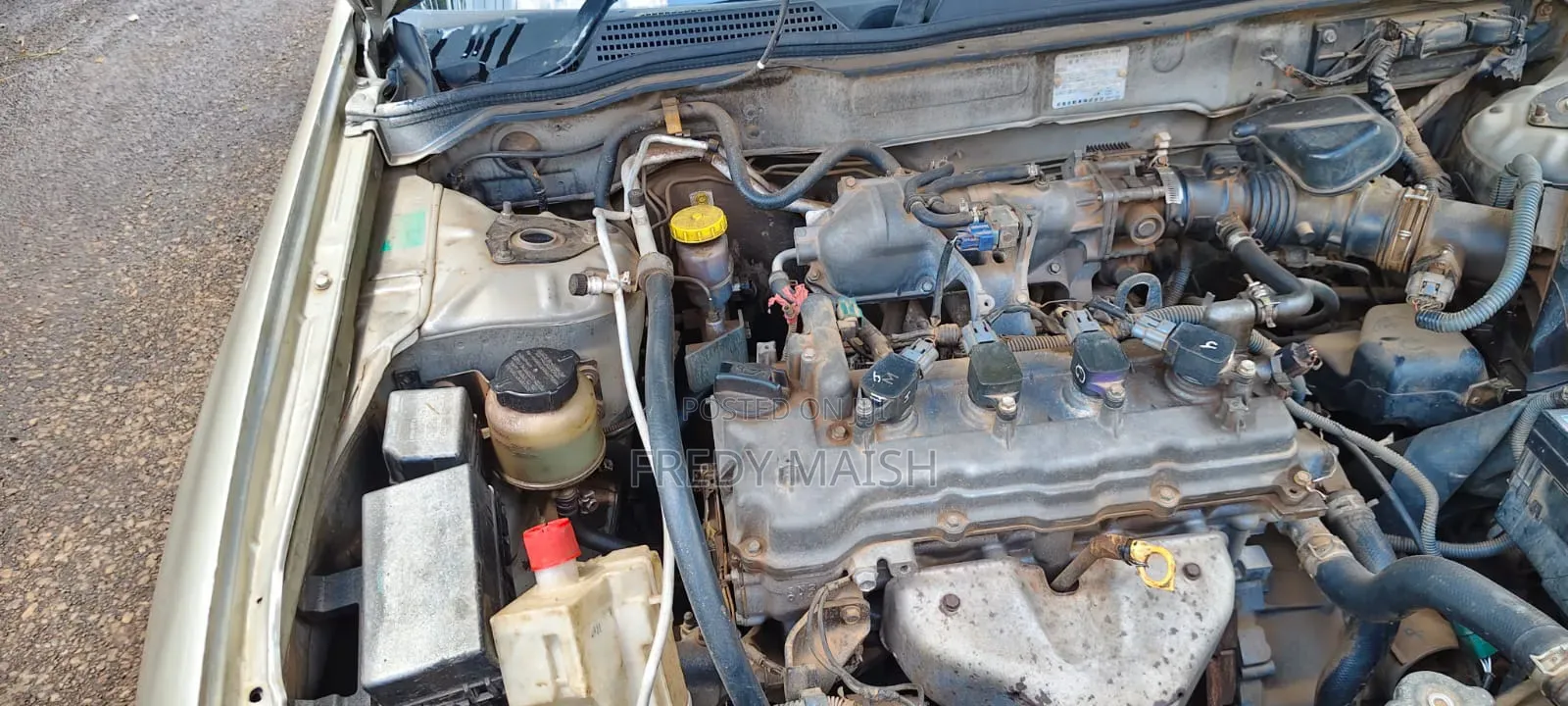 Nissan Bluebird 2008 Silver