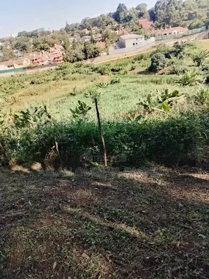 Prime Properties in Lavington Area's.
