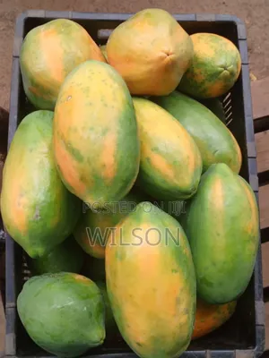 Pawpaw(Papaya)