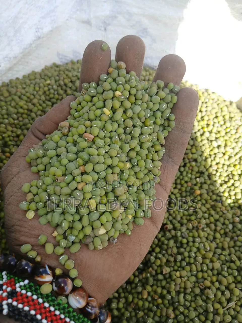 Ndengu Makueni