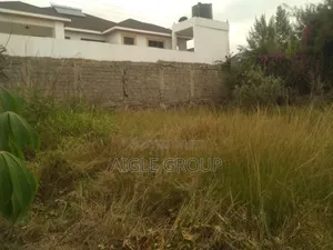 Kahawa Sukari Kiu River Road 100 ×100plot on Sale