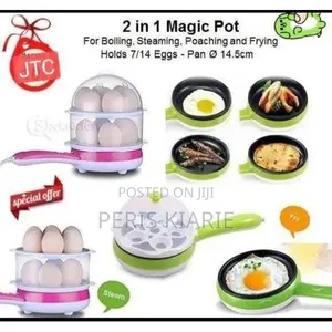 Electric 2in 1 Egg Boiler, Steamer And Frier