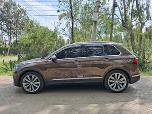 Volkswagen Tiguan 2017 Brown