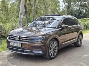 Volkswagen Tiguan 2017 Brown