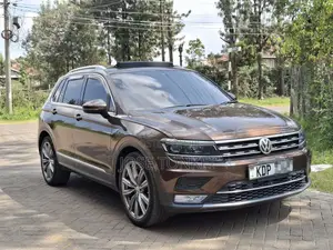 Volkswagen Tiguan 2017 Brown