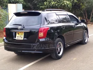 Toyota Corolla Fielder 2010 Black