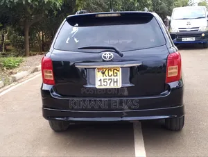 Toyota Corolla Fielder 2010 Black