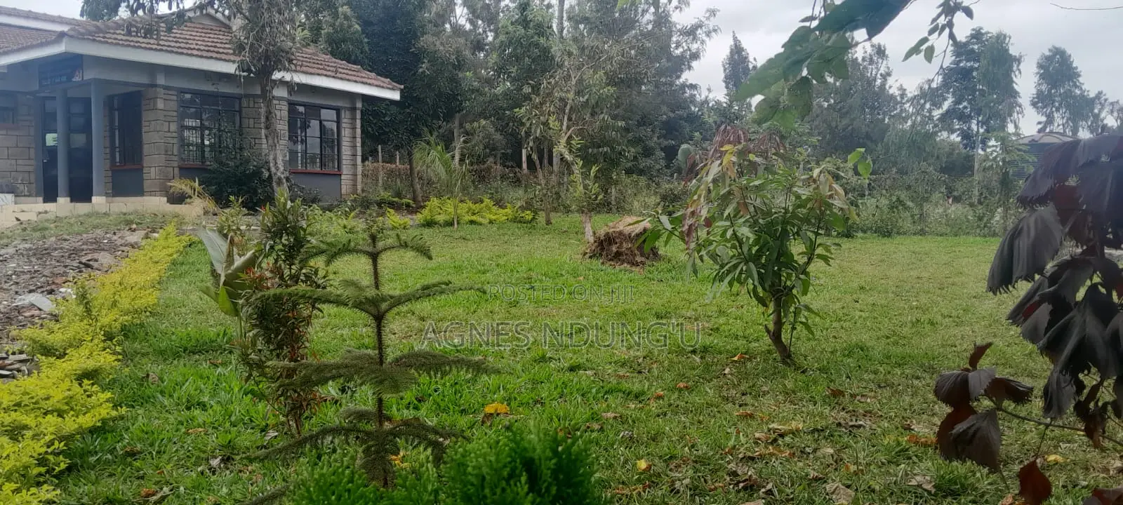 5bdrm Bungalow in Rongai, Maasai Lodge for rent