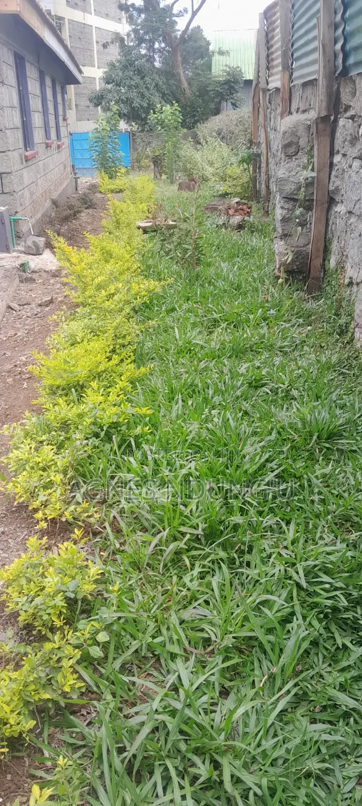 5bdrm Bungalow in Rongai, Maasai Lodge for rent