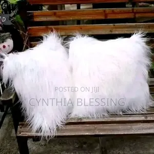 White Fur Pillowcases