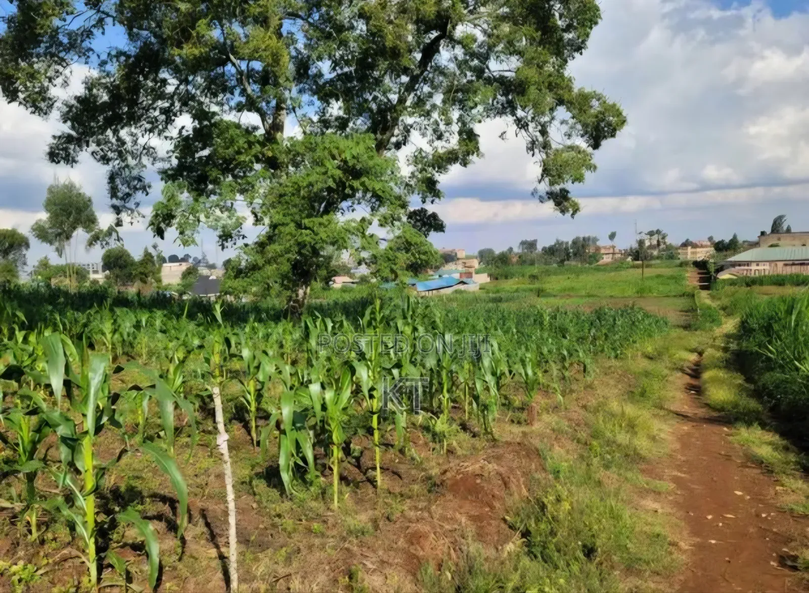 Githunguri Town - 1 Acre for Sale