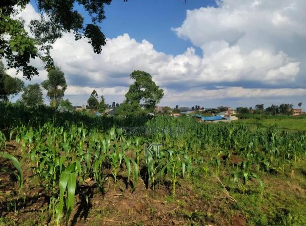 Githunguri Town - 1 Acre for Sale - thumbnail 2