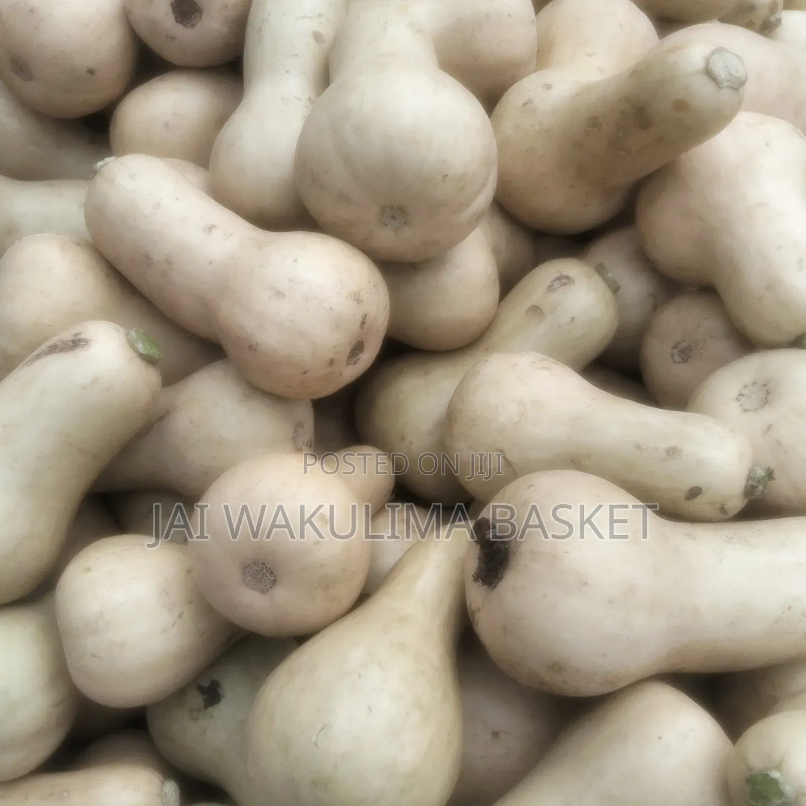 Jai Wakulima Basket