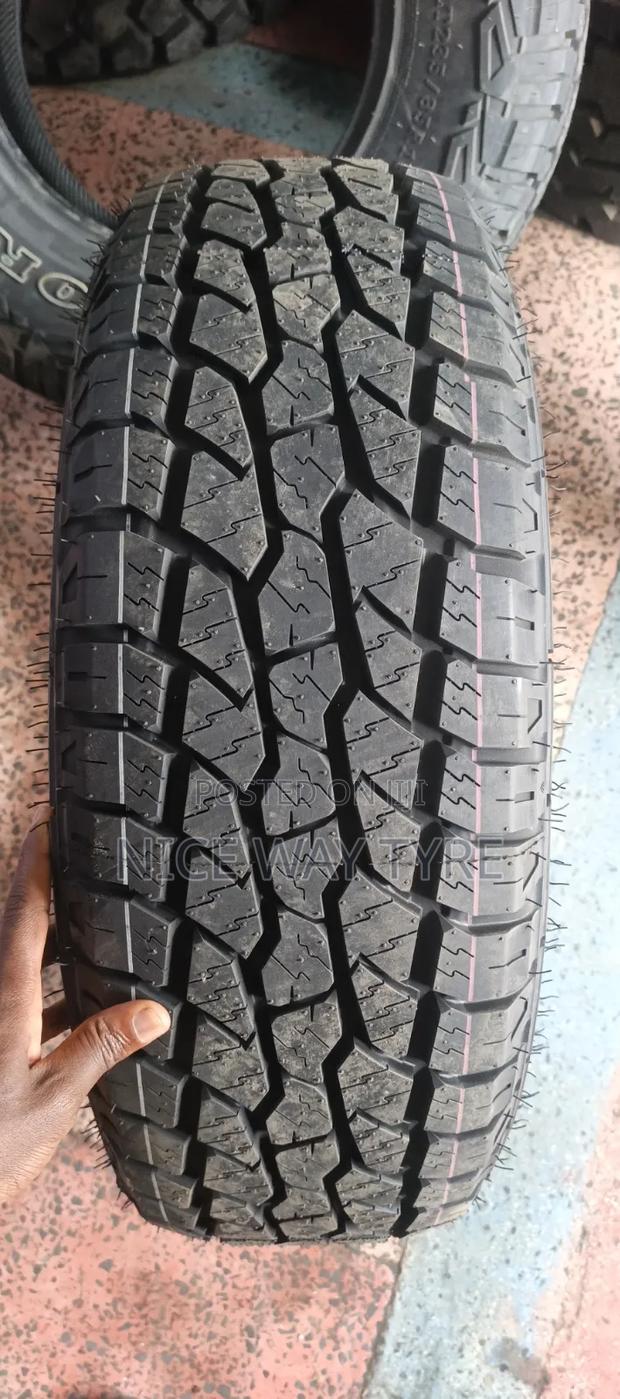 225/65r17 Triangle