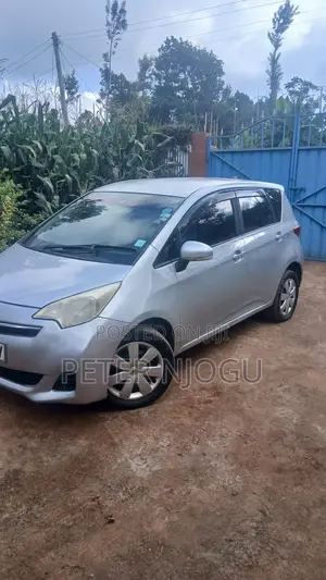 Toyota Ractis 2010 Silver