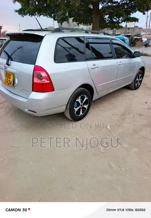 Toyota Corolla Fielder 2007 Gray