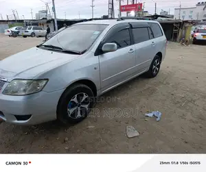 Toyota Corolla Fielder 2007 Gray